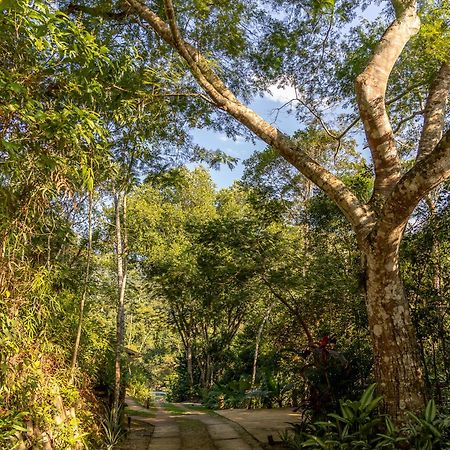 La Luciole Ecolodge Paraty Bagian luar foto