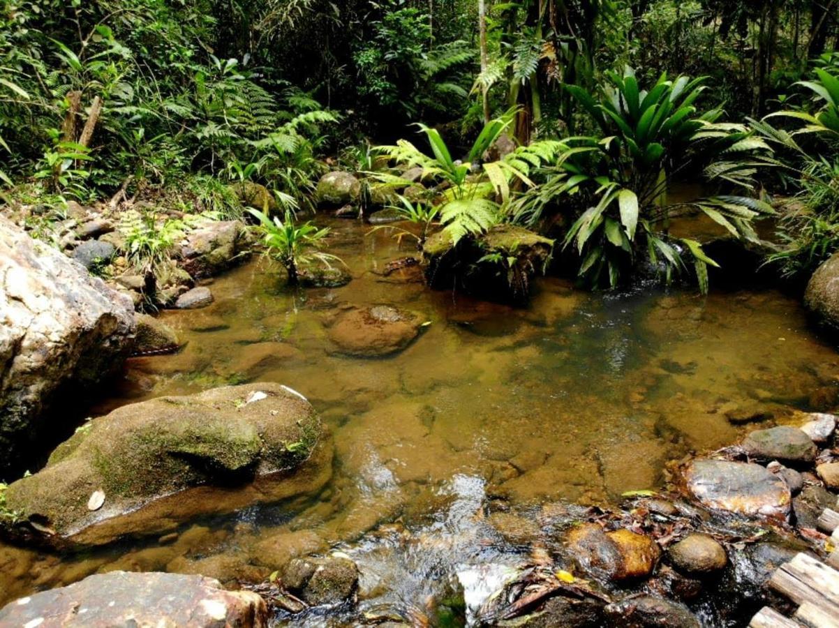 La Luciole Ecolodge Paraty Bagian luar foto