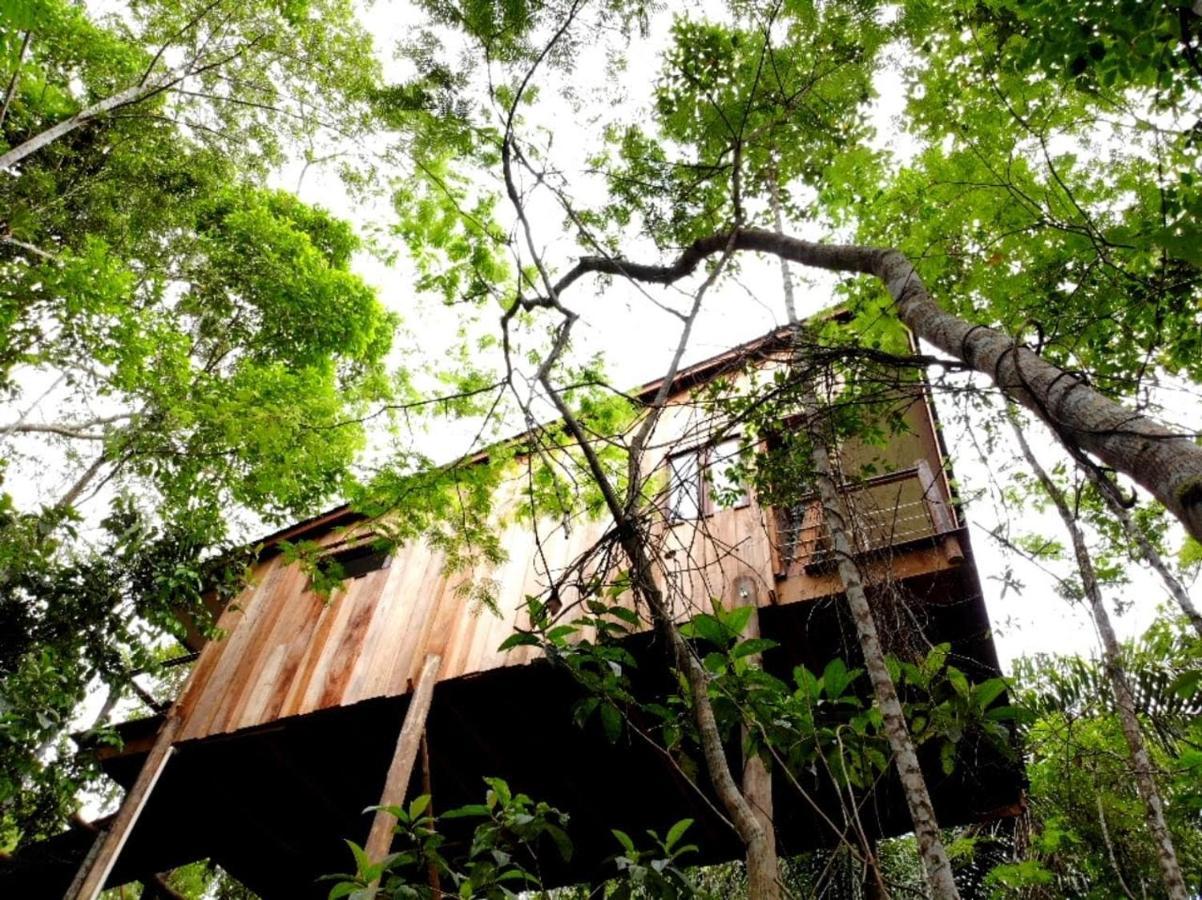 La Luciole Ecolodge Paraty Bagian luar foto