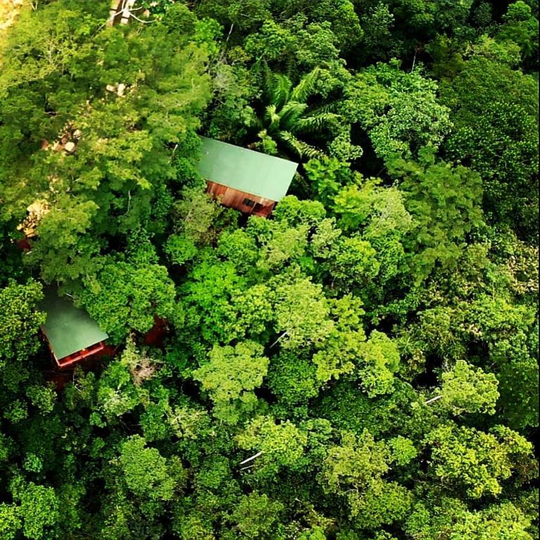 La Luciole Ecolodge Paraty Bagian luar foto