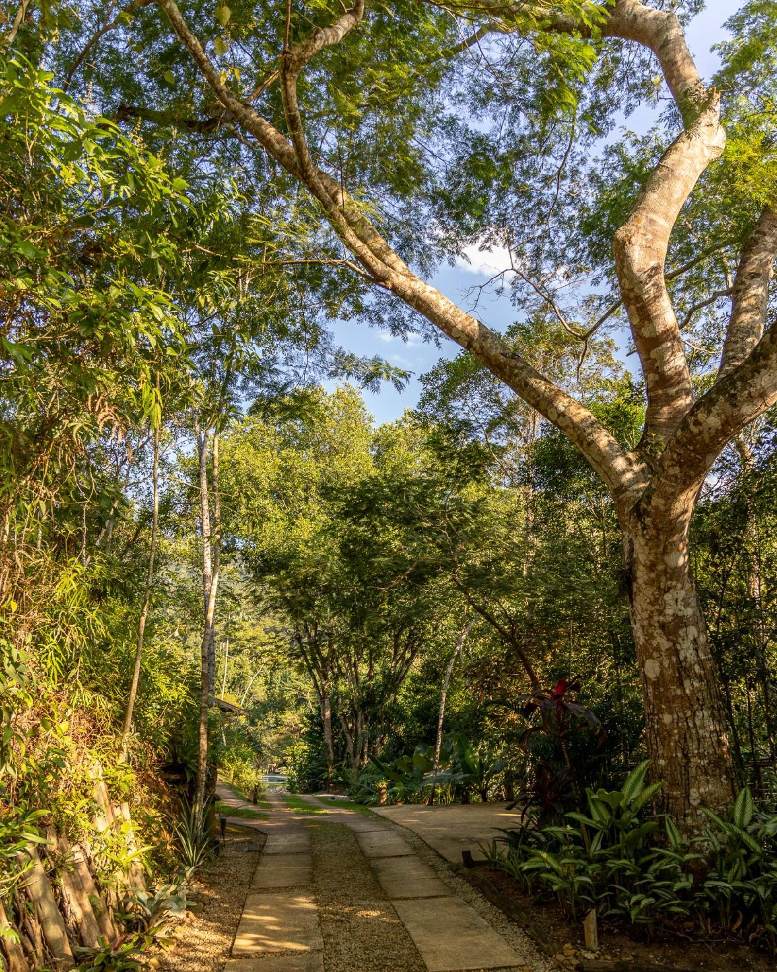 La Luciole Ecolodge Paraty Bagian luar foto